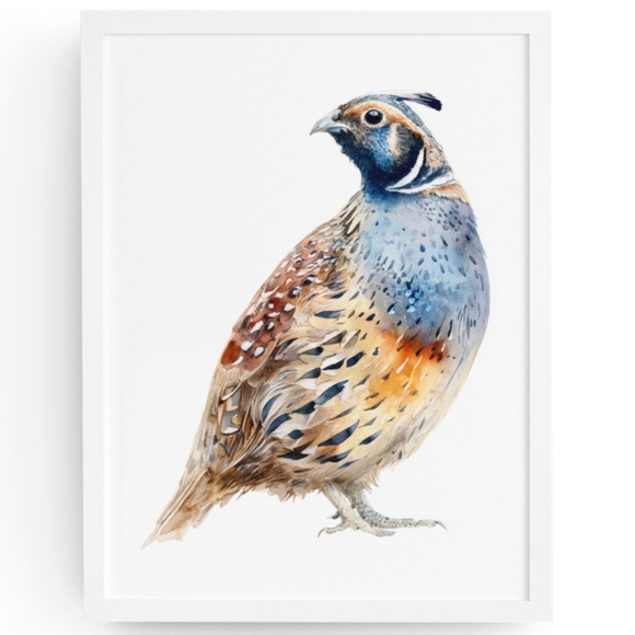 Watercolor Quail Wall Art Print, Unframed - Vibrant Nature-Inspired Home Decor - Picture 1 of 6
